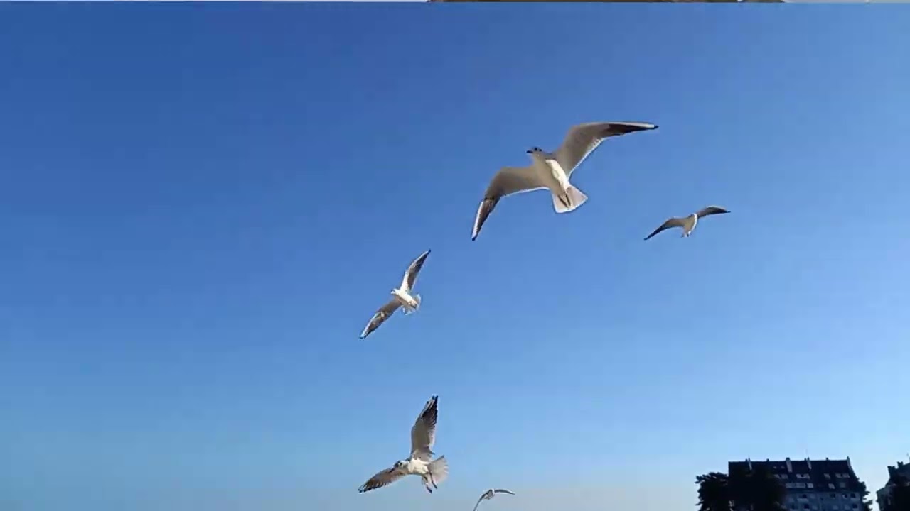 Bernard Benoit délire n2 1968