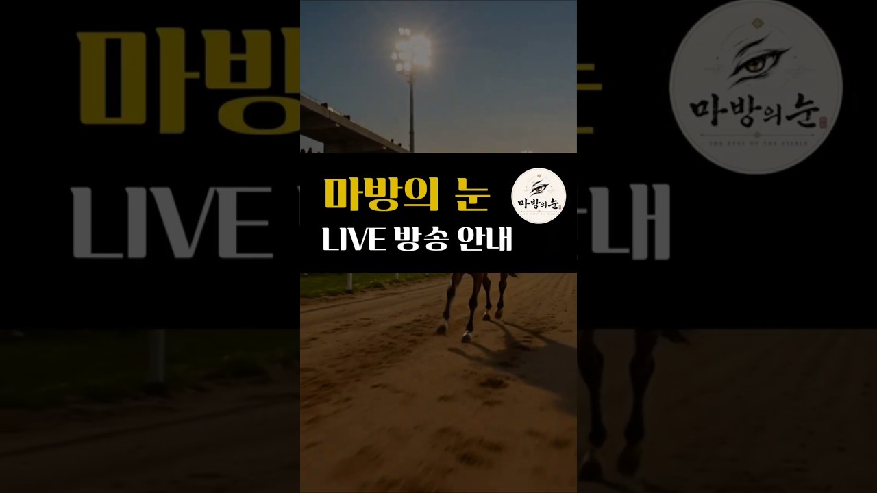 마방의 눈 LIVE 방송 안내