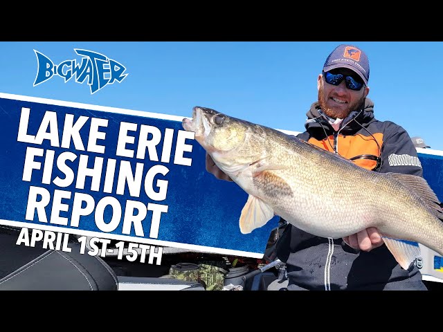 Lake Erie Walleye Fishing Report For Early April 2022 