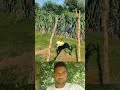 ভিডিও শেয়ার করবেন