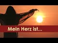 Mein Herz ist...