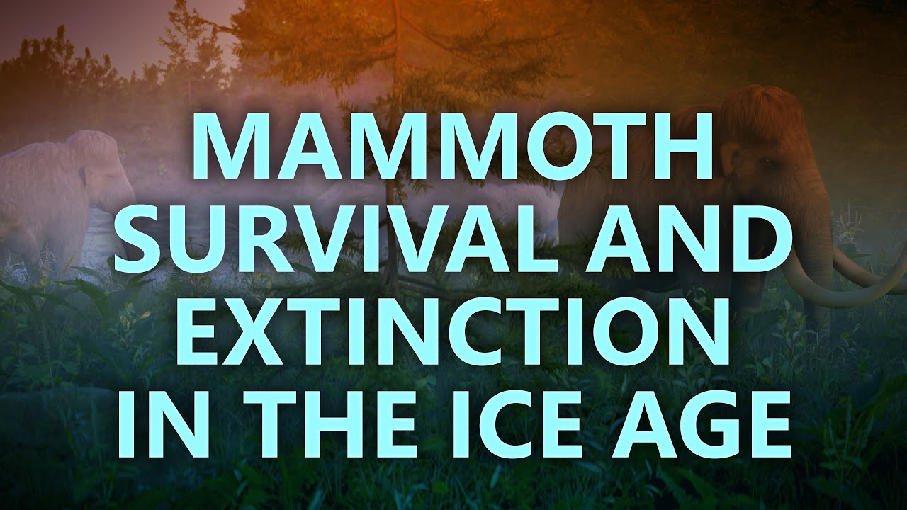 Mammoth Survival and Extinction in the Ice Age