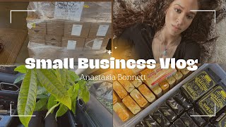 Small Business Vlog