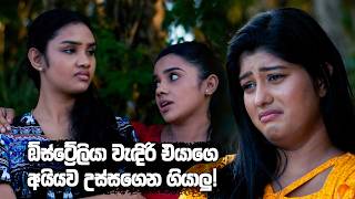 ඕසටරලය වඳර එයග අයයව උසසගන ගයල Kodukari