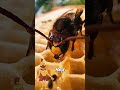 mi-am luat doza de fericire