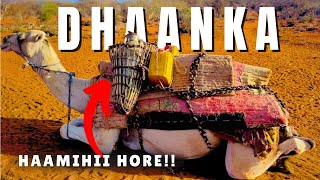 Download lagu MAXAAD KA XASUUSATAA DHAANKA HAAMAHAN BIYAHOODII QABOOBAA EE BARAKAYSNAA ? || REER MIYI.