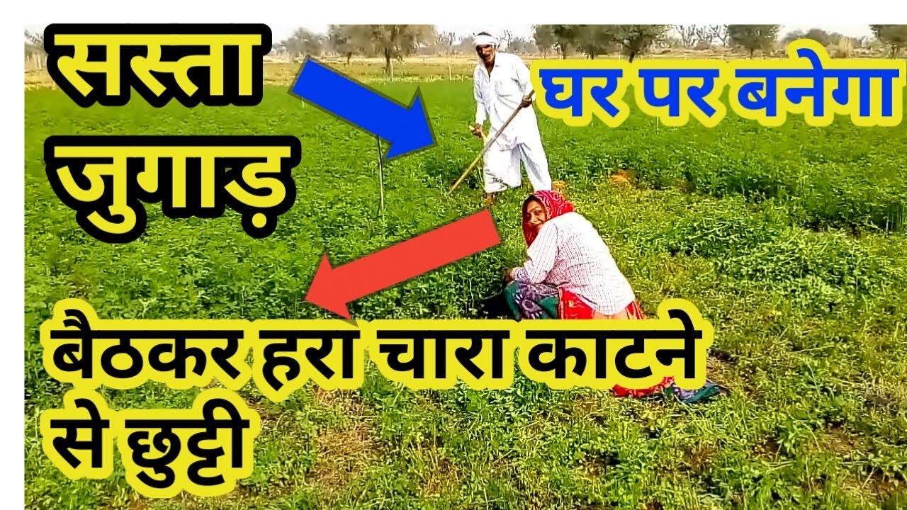 सबसे सस्ता हरा चारा काटने की मशीन| Cheap Mini Chaff Cutter/Grass Cutter Machine.