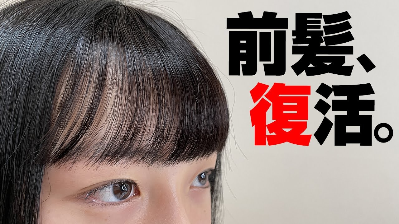 失った前髪が復活しました Youtube