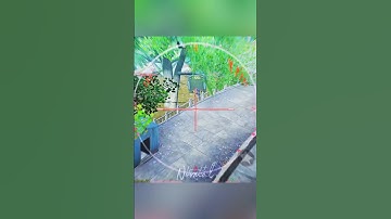 Alcatraz iconic edit🗿✨codm#codmbrlive #codmbr #codmobile #callofdutymobile