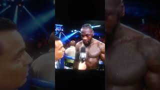 Deontay Wilder blames corner for throwing in towel