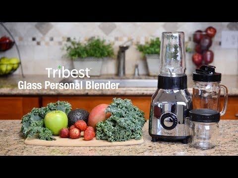 Tribest Glass Personal Blender Chrome