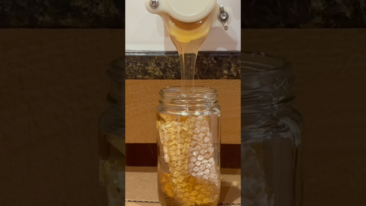 Cut Comb Honey, So Satisfying 