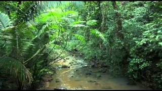 Be One With Belize Part 1 - Introduction to Belize.mp4
