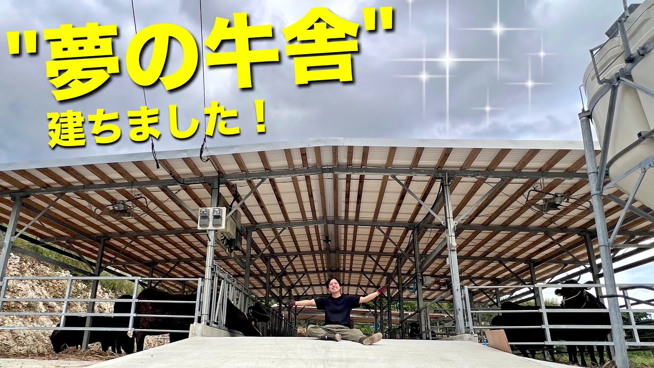 牛飼いの夢！念願の牛舎が完成しました