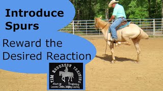 Introduce Spurs And Reward The Correct Response