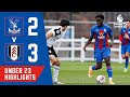 Brandon Pierrick with another stunning strike | Crystal Palace 2-3 Fulham