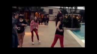 ✮2ne1-LMFAO-Cant nobody Party Rock Anthem [Fan Made] By 2ne1Thebest13 :)