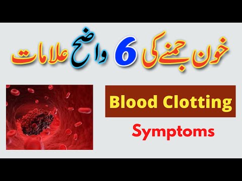 Video: Kan blod motta blod?