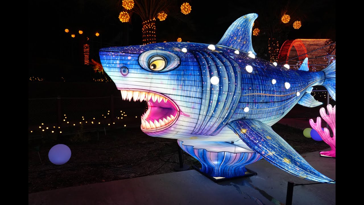 Dream Glow with Creatures of the Sea