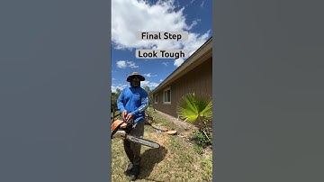 Technical Palm tree Removal Step by Step Instructional Video for Beginners #treeremoval #chainsawman