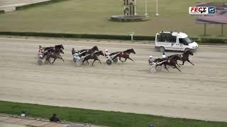 Vidéo de la course PMU PREMI MUSIGNY DEGATO II