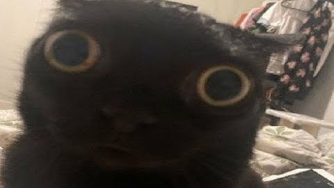 kanji got some rizz (im back yes)