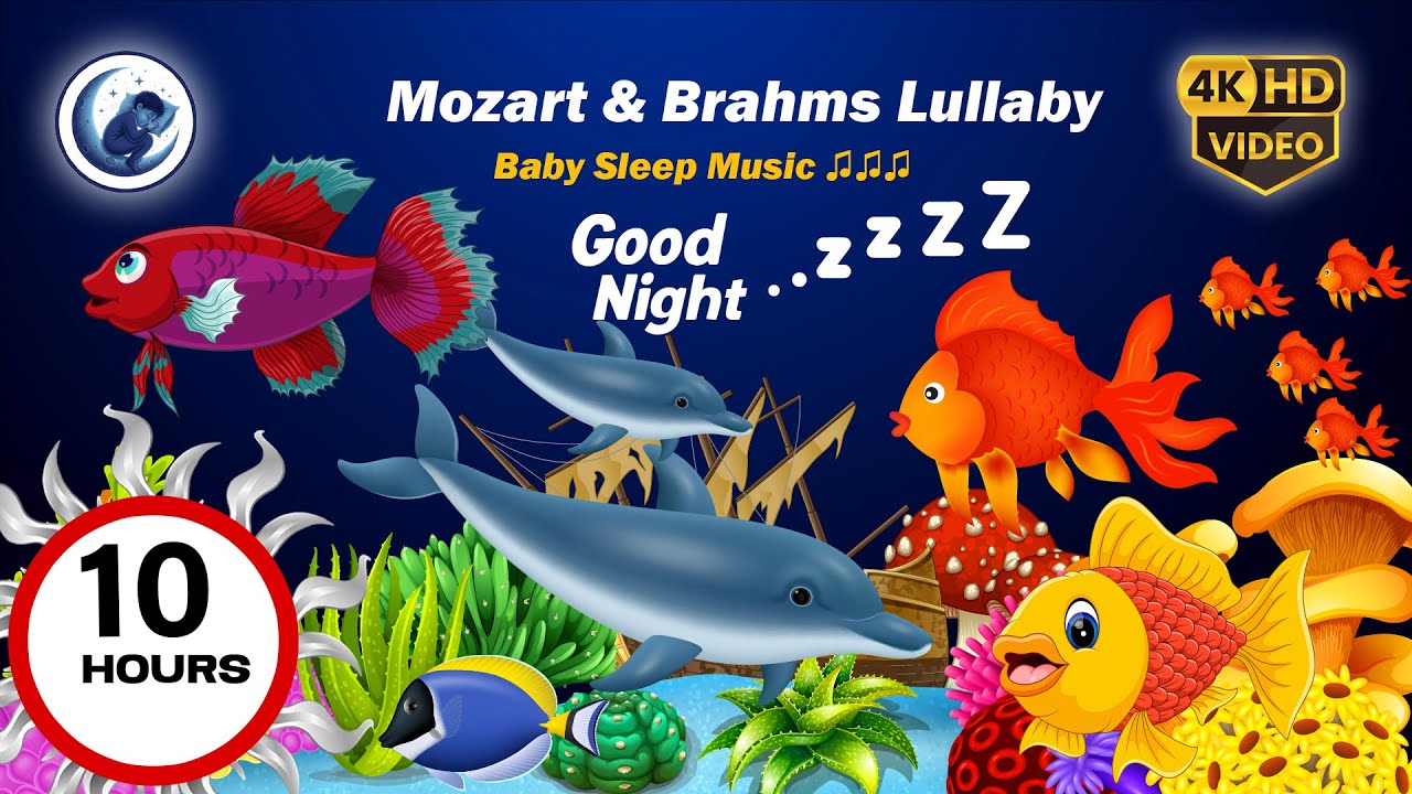 Sleep Music 💕 Lullaby for Babies to Go to Sleep 🌙 Baby Sleep Music 🎶 Baby Mozart