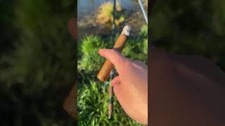 #cigars#Cusano_by_Davidoff
