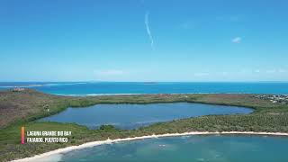 LAGUNA GRANDE BIO BAY, FAJARDO, PUERTO RICO
