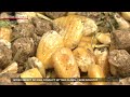 Wider impact of Iran conflict hurting global farm industryーNHK WORLD-JAPAN NEWS