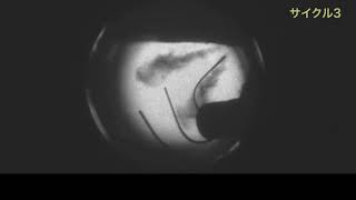 Diesel Spray Experiment at University: UVi visualization