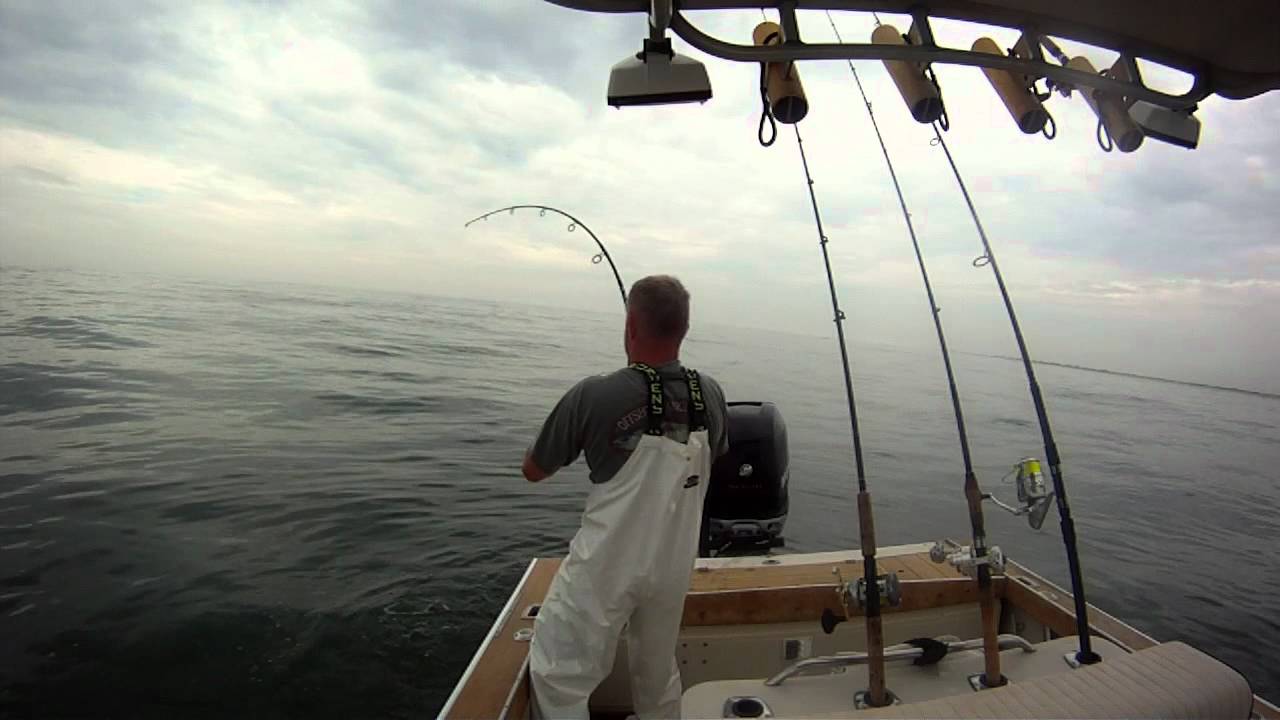 44lb striped bass on bunker pods YouTube