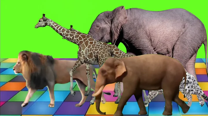 Wild forest carzy green screen animal crossover l animal stampede video compilation l Best animation