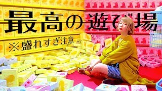 最強のインスタ映えスポットに来てしもうた,,,😱 いくがきいもこ 検索動画26 最強のインスタ映えスポットに来てしもうた,,,😱 いくがきいもこ 検索動画 26