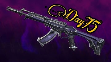 Checking the Valorant Store until I get the Reaver Vandal  (Day 75)