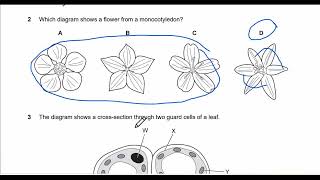 2022-igcse-BIOLOGY-0610/21-May/june-question&answer with explanation-grade 10-EasyWay to understand