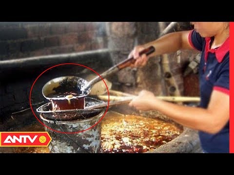 "Công nghệ" tái chế DẦU BẨN, MỠ THỐI chứa hàng loạt chất độc | TPSHB | ANTV