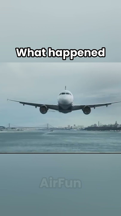 US Airways flight 1549 #shorts