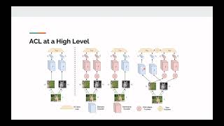 CAP6412 21Spring-Robust Pre-Training by Adversarial Contrastive Learning