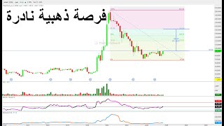 سهم تدبيلة: فرصة صعود 64% .. تحليل سهم المصافي قبل جلسة 1 يناير 2024   إسماعيل عبد العزيز