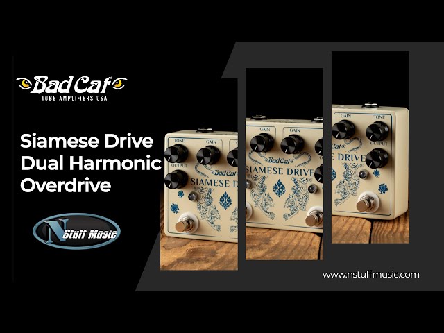 Bad Cat Siamese Drive Dual Harmonic Overdrive Pedal - YouTube