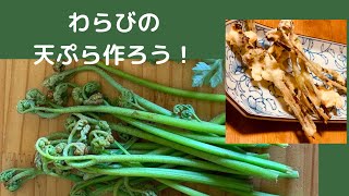 わらびが出てきました！天ぷらを作ろう【自家製酵母パン教室ぱん蔵