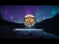 Wizarding World Ambience Vol. 2 | 2 Hours of Magical Study Music
