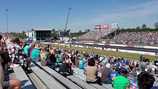 Robert Hight v. John Force Profile