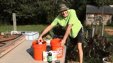Worm Bin Update - Worm Casting Compost Tea Recipe