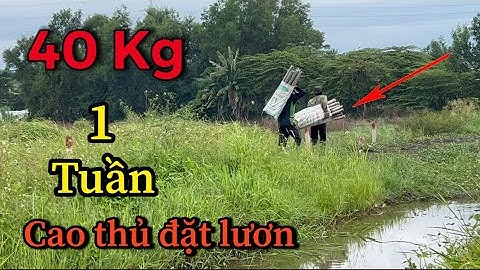 Chạm Mặt￼ CAO THỦ Đặt Trúm Lươn Khi BÃO Về 1 Tuần 40 Kg Kinh Khủng | eel hunter in the swamp