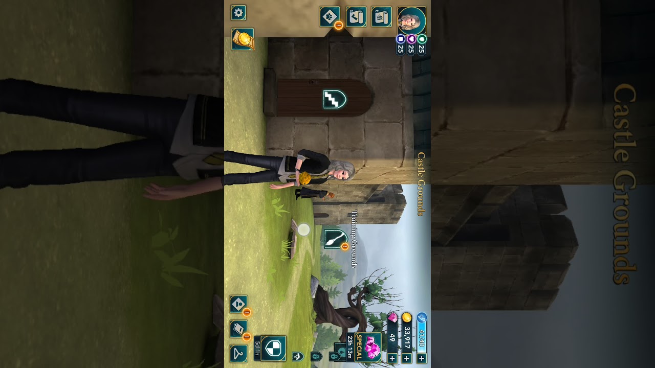 Harry Potter Hogwarts Mystery flying class bug