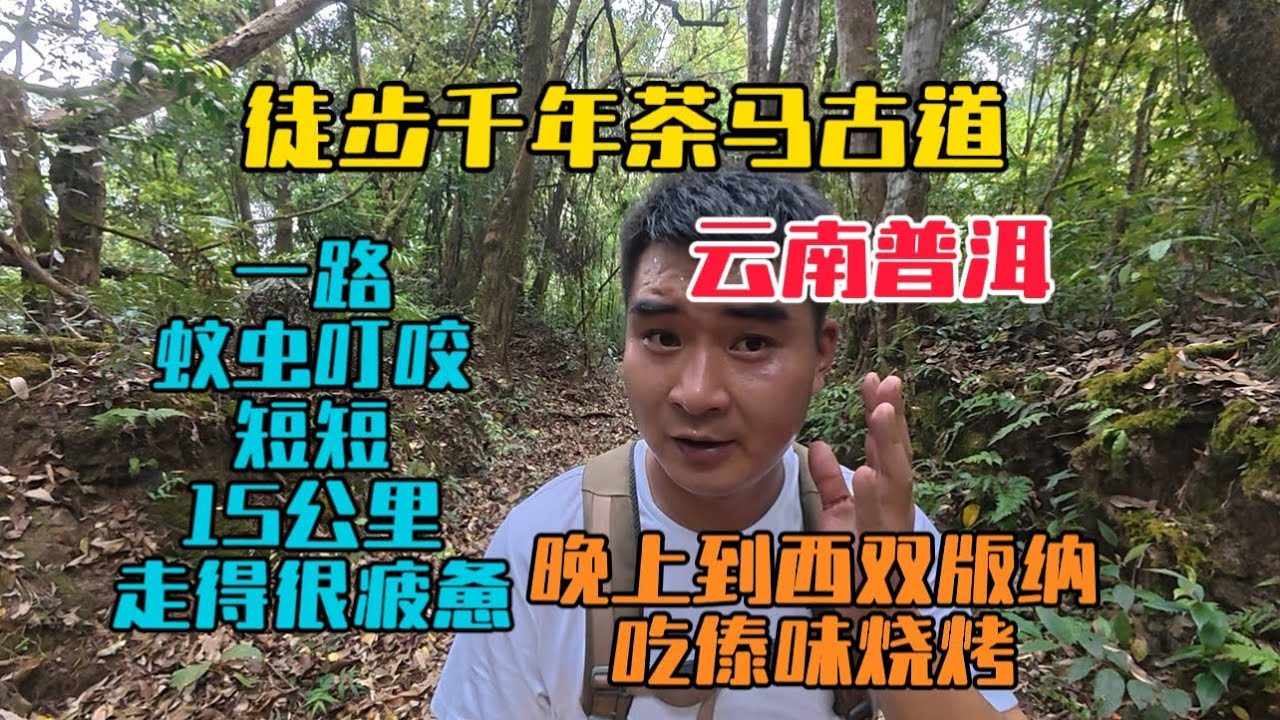 徒步雲南普洱的千年茶馬古道，一路蚊蟲叮咬，短短15公里走得很疲憊，晚上去西雙版納大吃一頓！