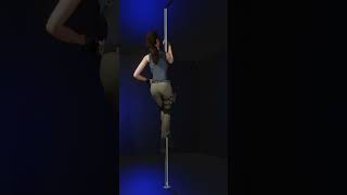 Sims 4 Pole Dance Combo Animation