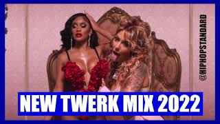 New Twerk Mix Vol 1 I Saweetie Tat Money Yo Got Big Lex Renni Rucci Gucci Mane